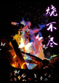 烧不尽广播剧第四集